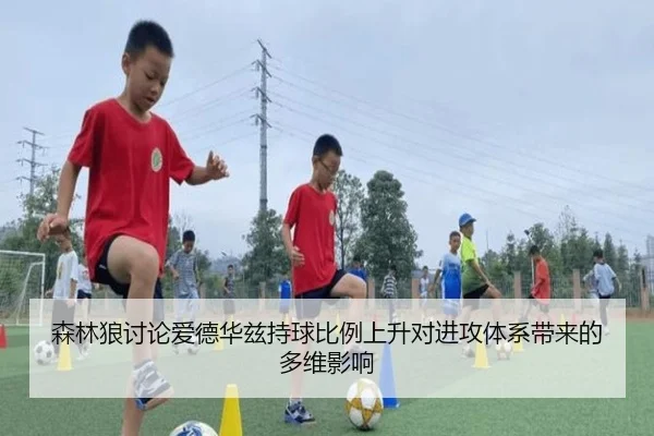 森林狼讨论爱德华兹持球比例上升对进攻体系带来的多维影响 - aoko